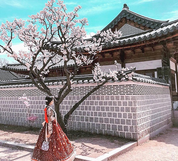 Tour Hàn Quốc Mùa Hoa Anh Đào 2025 (5N4Đ)